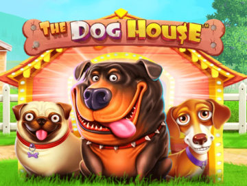 dog house slot machine