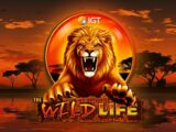 wild life slot game online