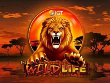 wild life slot game online